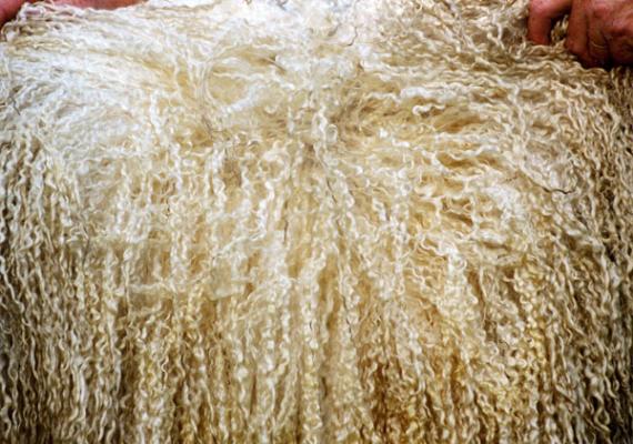 Chefs-d'œuvre en laine : l'histoire du passe-temps des femmes et la technique du feutrage de la laine